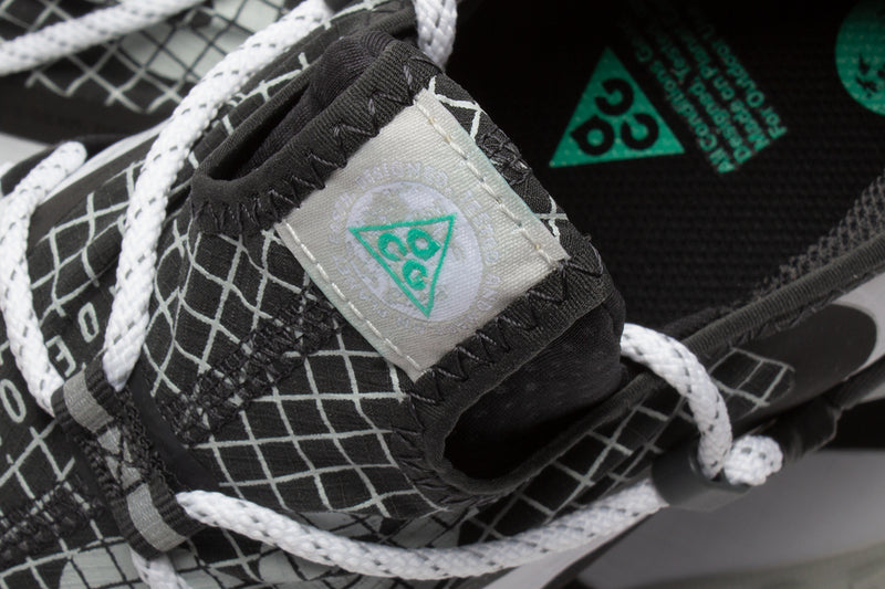 Nike ACG Mountain Fly Low SE White / Black
