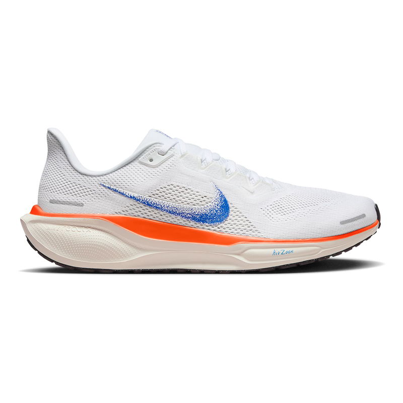 Air Zoom Pegasus 41 FP