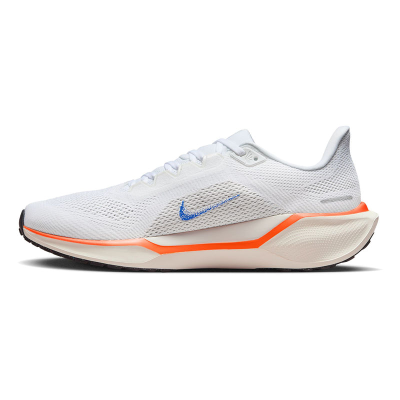Air Zoom Pegasus 41 FP