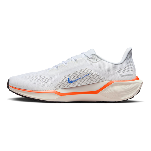 Air Zoom Pegasus 41 FP