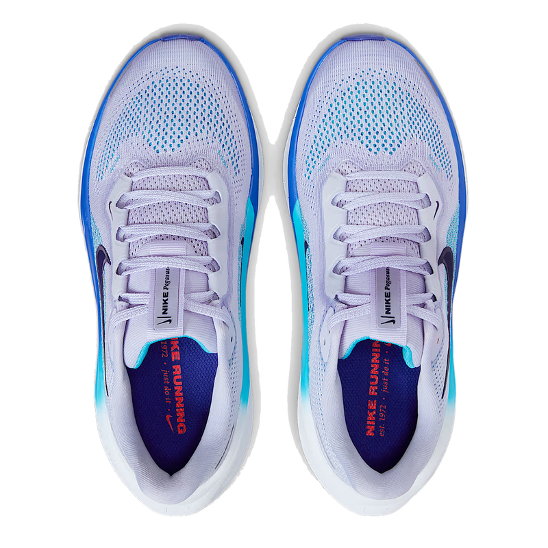Air Zoom Pegasus 41 GS