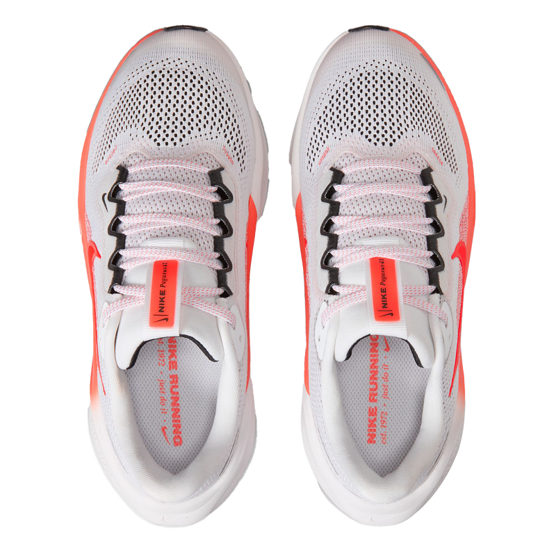 Air Zoom Pegasus 41 GS