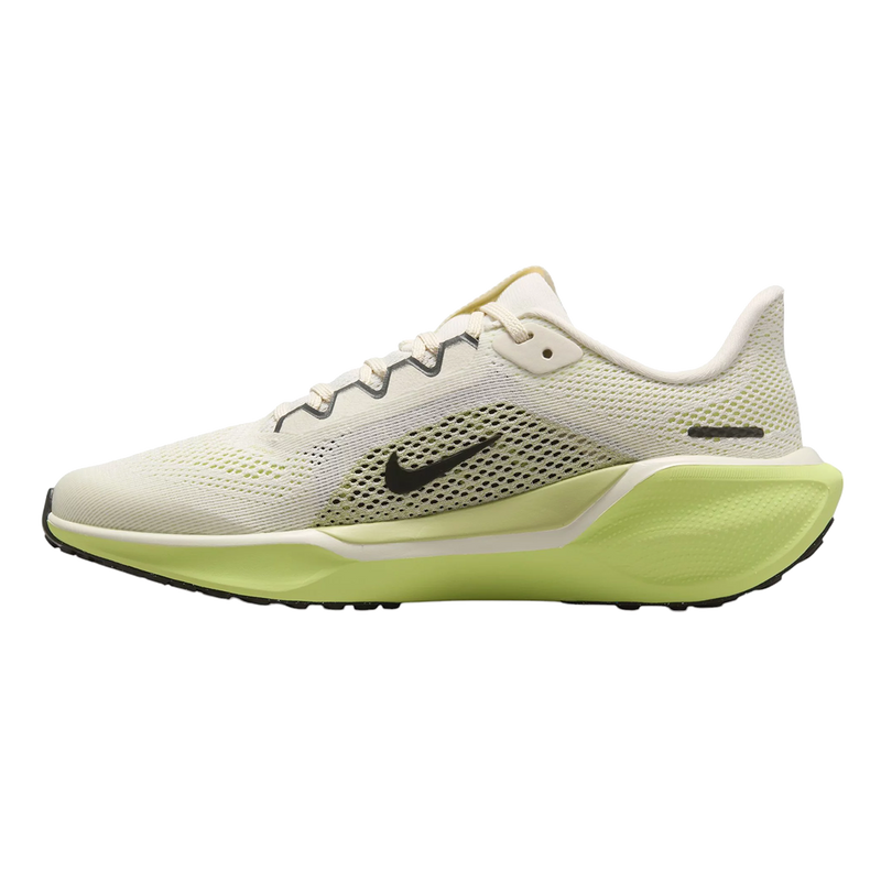 Air Zoom Pegasus 41 GS
