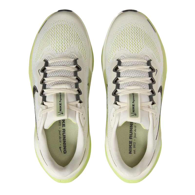 Air Zoom Pegasus 41 GS