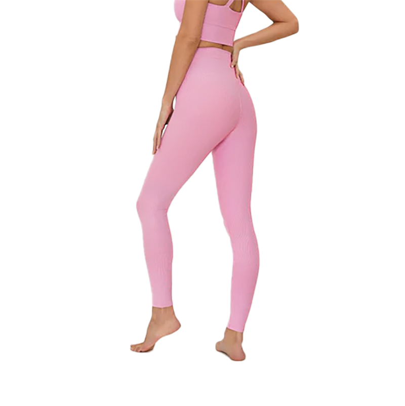 Beach Riot Tayler Legging