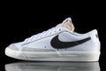Nike Blazer Low Leather
