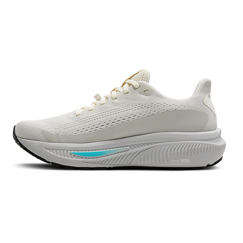 Brooks Ghost 17 GTX
