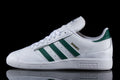 Adidas Busenitz