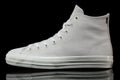 Chuck Taylor Pro Hi