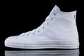 CTAS Pro Hi