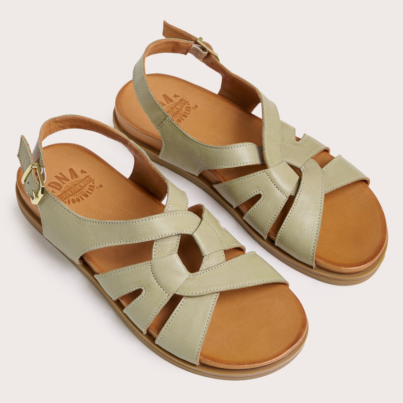 Ellery - Avocado