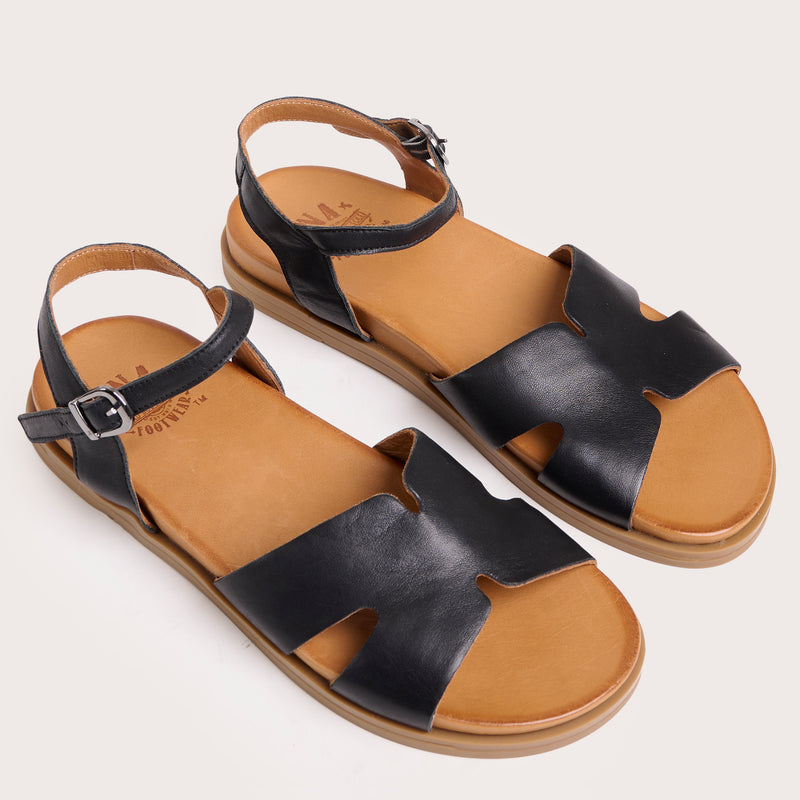 Evergreen - Black