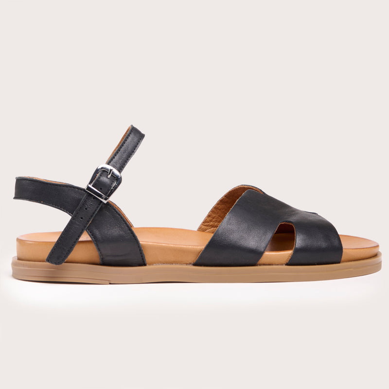 Evergreen - Black