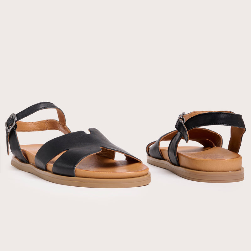 Evergreen - Black