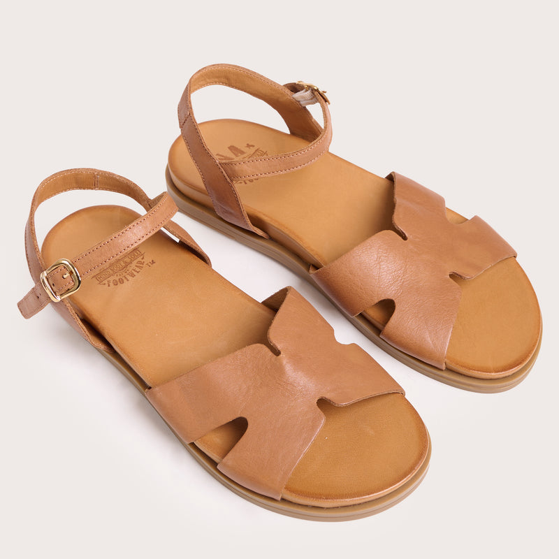 Evergreen - Tan