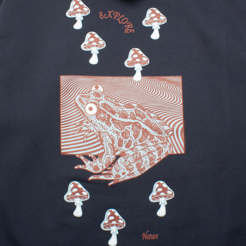 Cold World Frozen Goods Frog World Pullover Hoodie