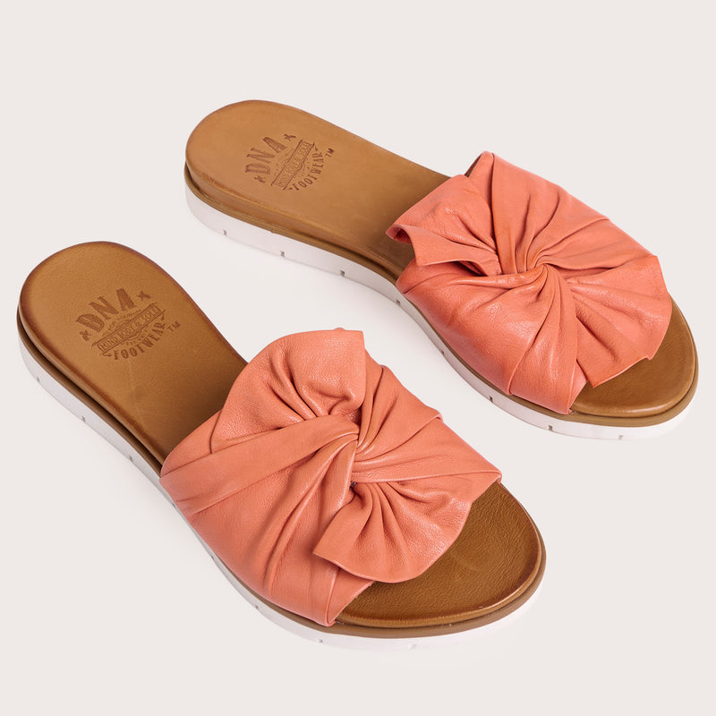 Poly - Coral