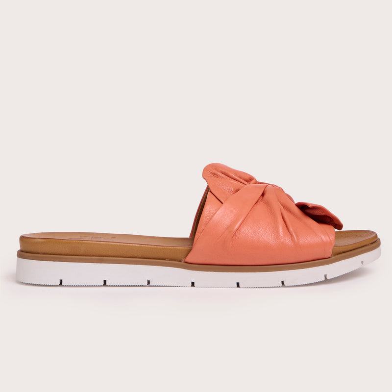 Poly - Coral