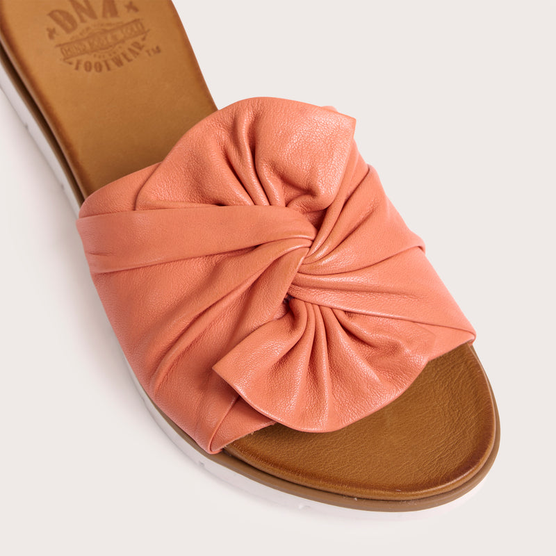 Poly - Coral