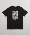 Quasi Toad T-Shirt in Black