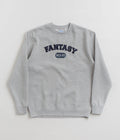 Sci-Fi Fantasy U Crewneck Sweatshirt in Heather Grey