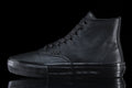 Vans Skate Authentic High