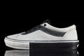 Skate Bold (RASSVET)
