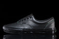 Vans Skate Era