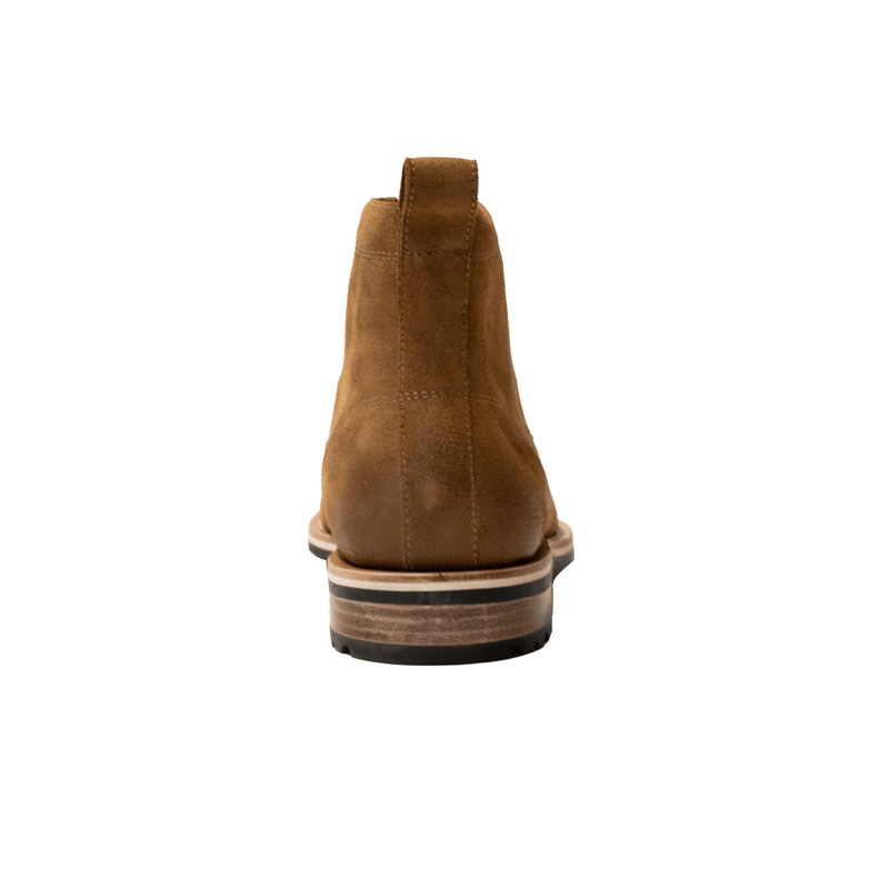 HELM - The Hollis Sienna Back