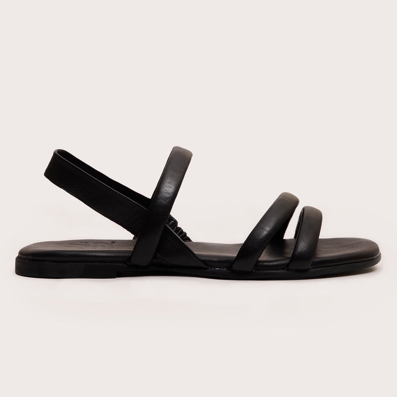 Webb - Black
