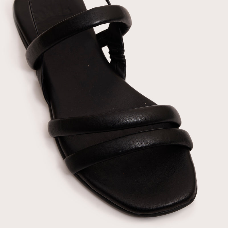 Webb - Black