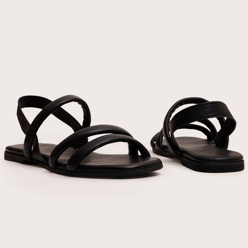 Webb - Black