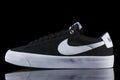 Nike SB Zoom Blazer Low Pro GT : Black / White
