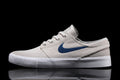 Zoom Janoski RM